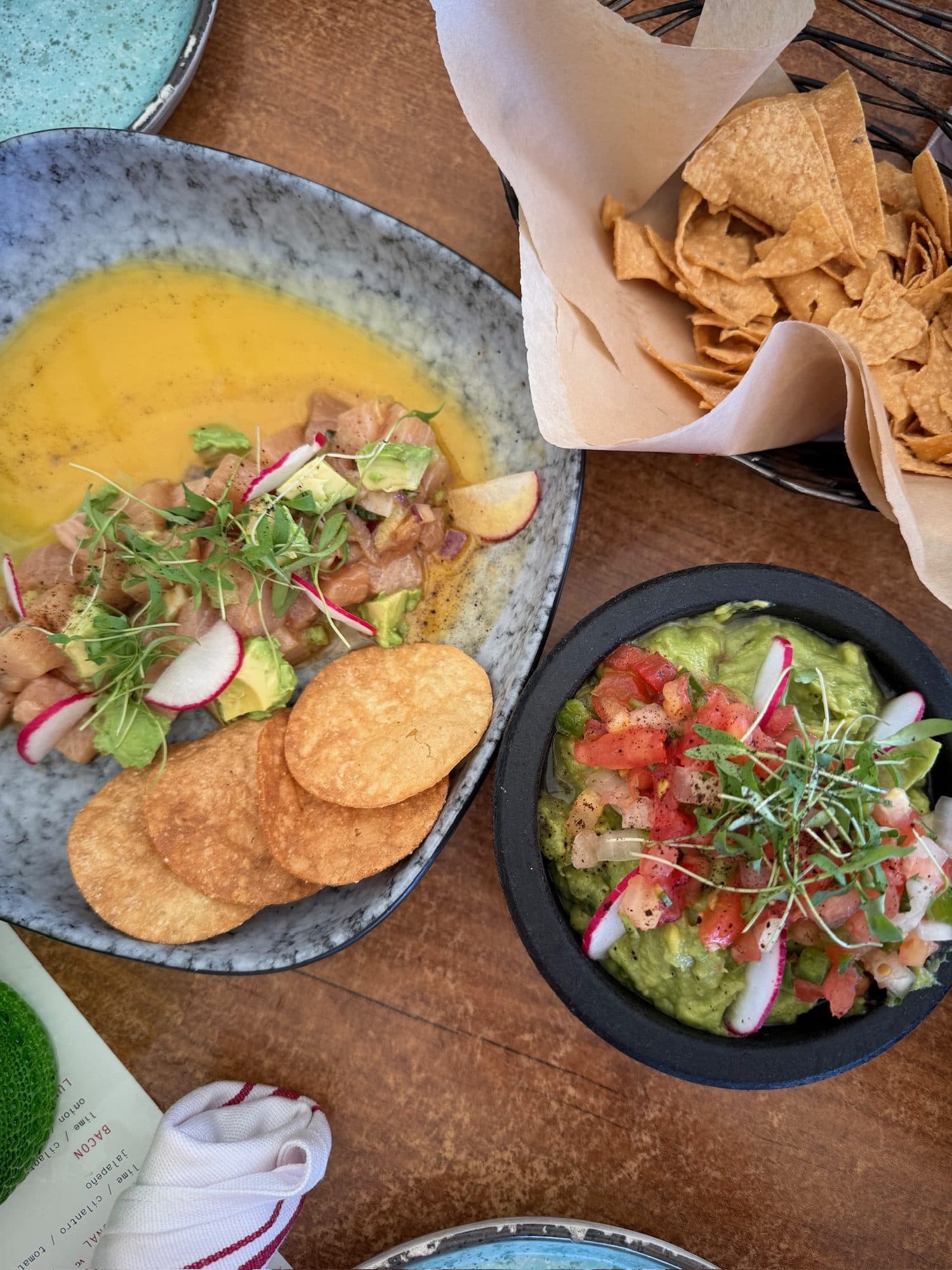 Ceviche and guacamole with chips